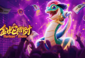 云开足球平台2024最新版