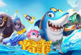 云开足球平台最新版